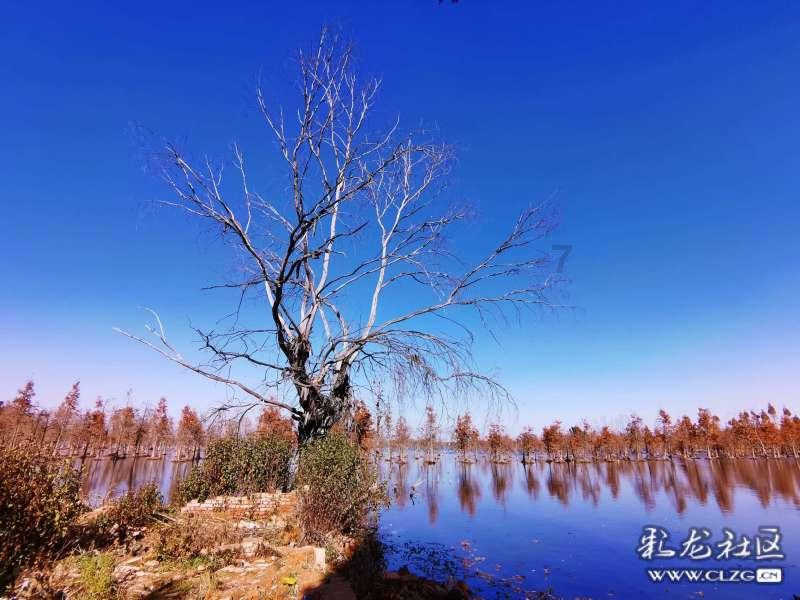 微信为什么转账会被限制知识星球 - 解锁知识的聚集地